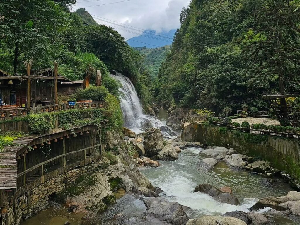 SAPA 6