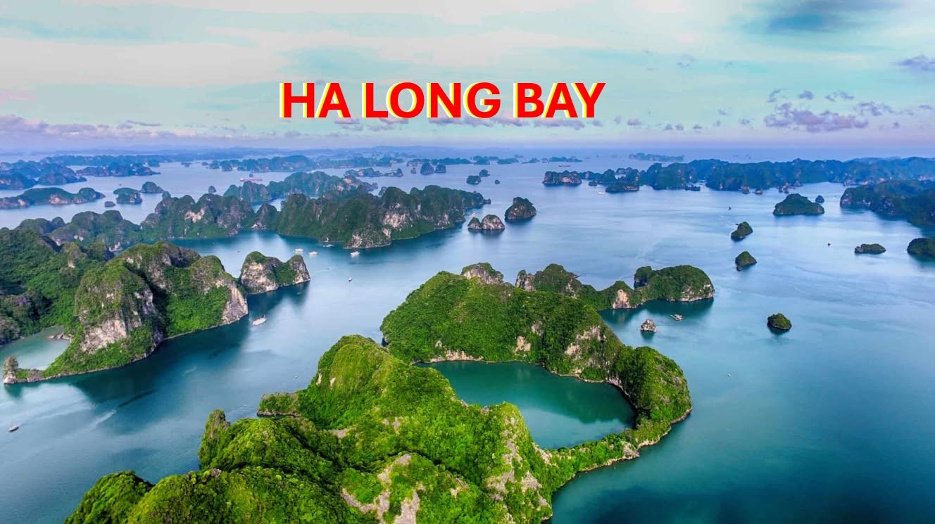 VINH HA LONG 0