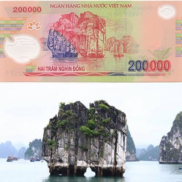 VINH HA LONG 7