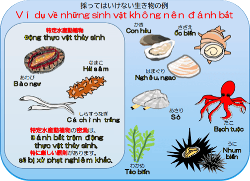 28.Danh bat trom